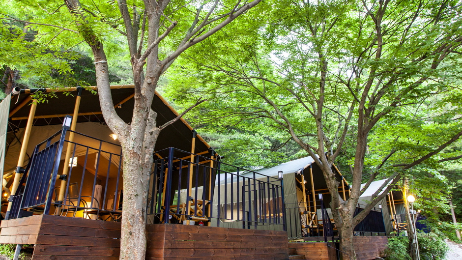 헬로우 힐 연인산 캠핑장 여행 추천 - 메고지고 헬로우 힐 연인산 캠핑장 여행 추천 - 메고지고