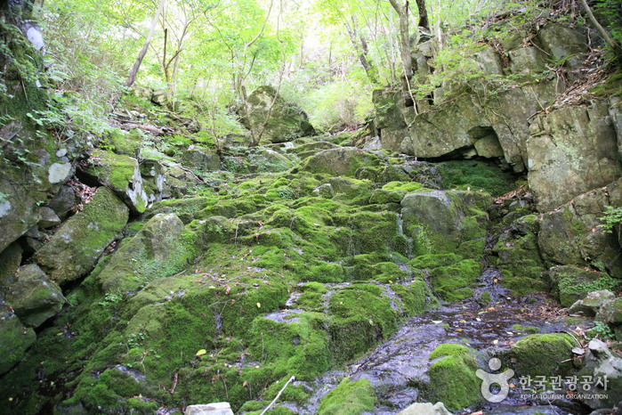 운장산 여행 추천 - 메고지고 운장산 여행 추천 - 메고지고
