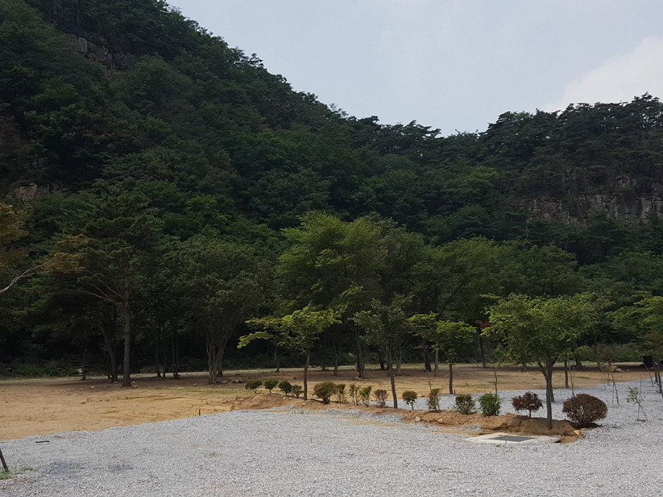 솔밭캠프 여행 추천 - 메고지고 솔밭캠프 여행 추천 - 메고지고