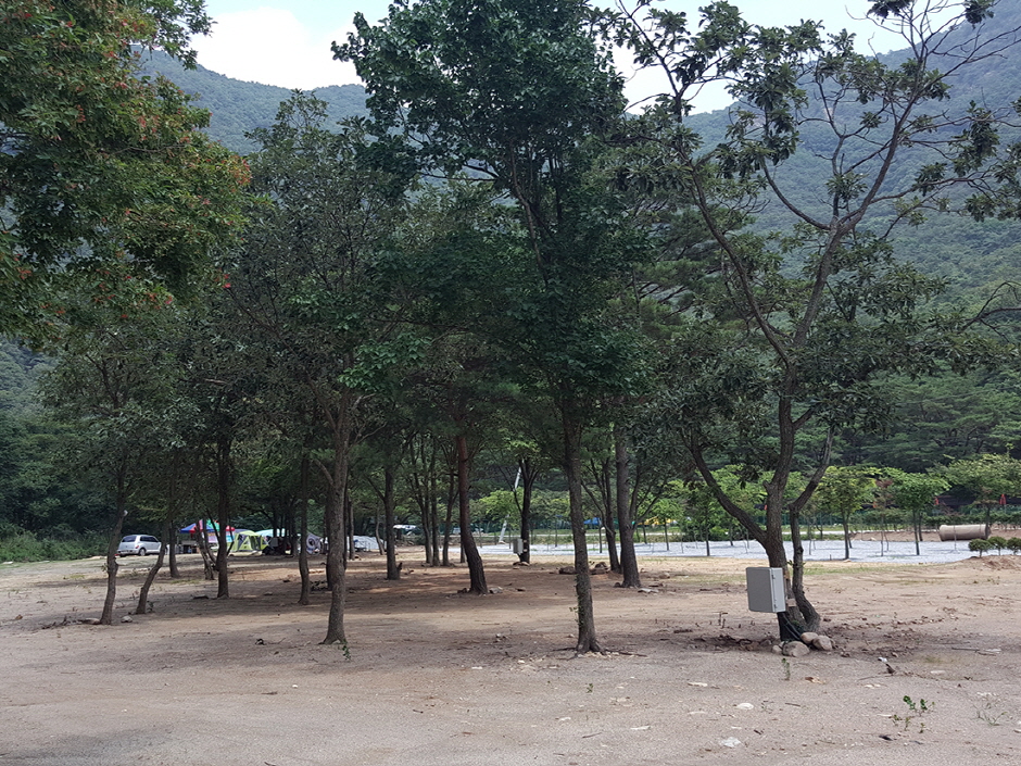 솔밭캠프 여행 추천 - 메고지고 솔밭캠프 여행 추천 - 메고지고