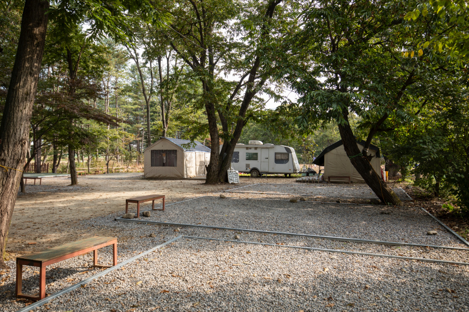 수동시온캠프 여행 추천 - 메고지고 수동시온캠프 여행 추천 - 메고지고