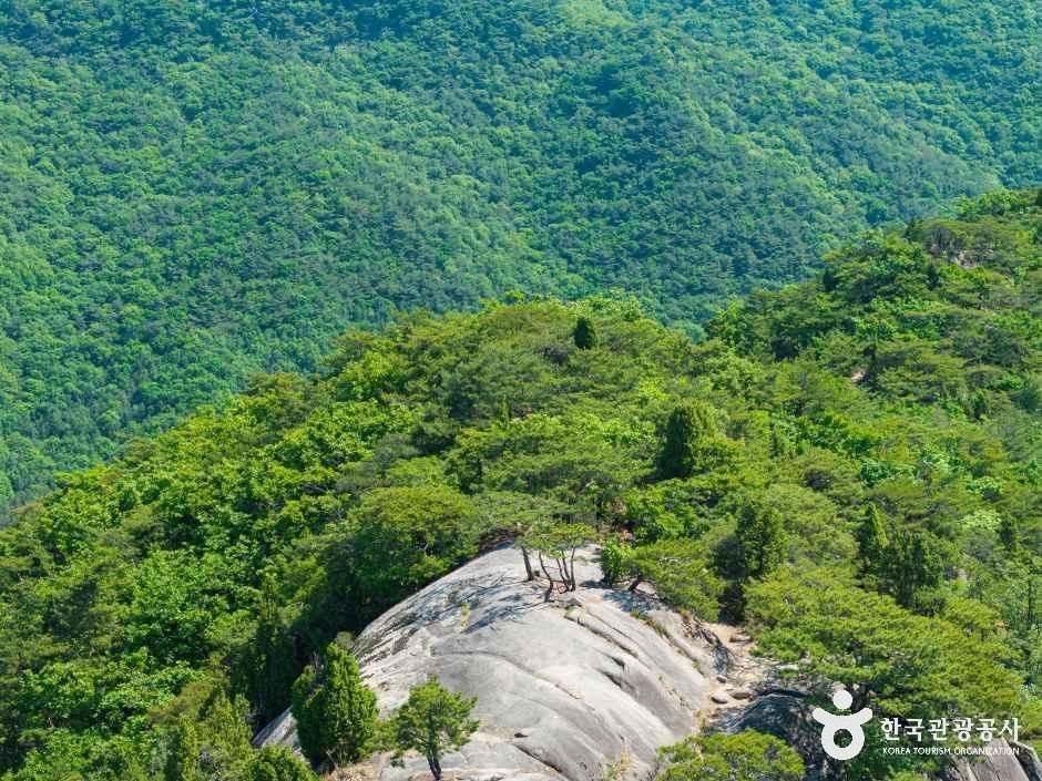 작은동산 여행 추천 - 메고지고 작은동산 여행 추천 - 메고지고