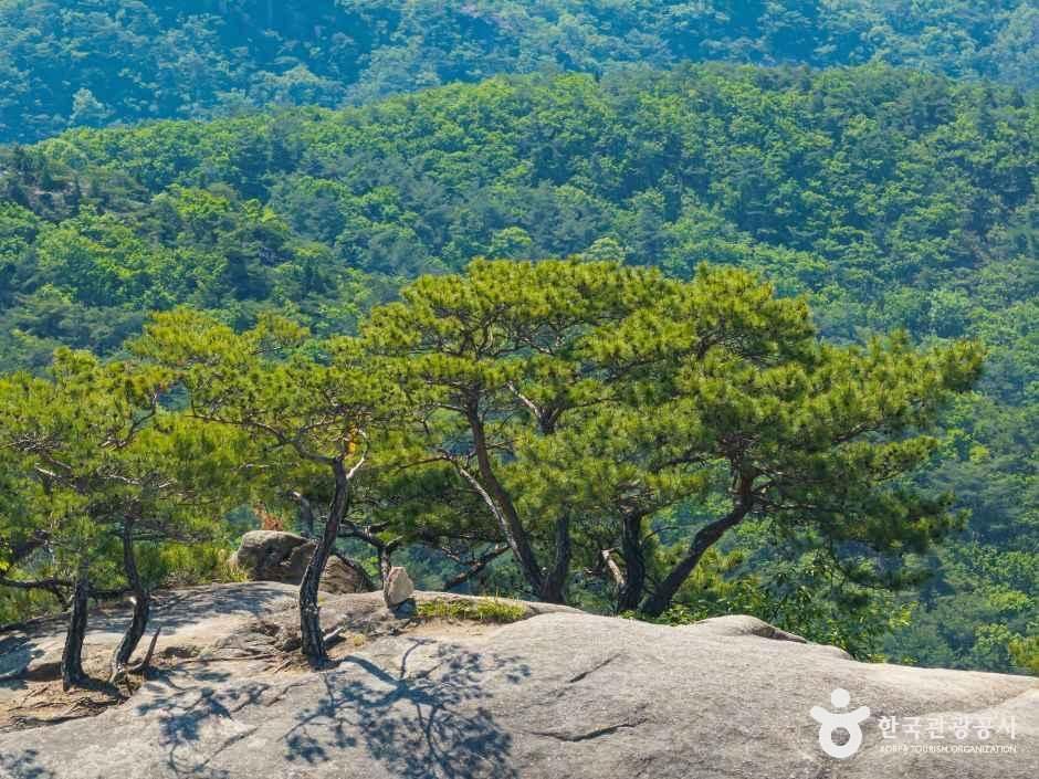 작은동산 여행 추천 - 메고지고 작은동산 여행 추천 - 메고지고