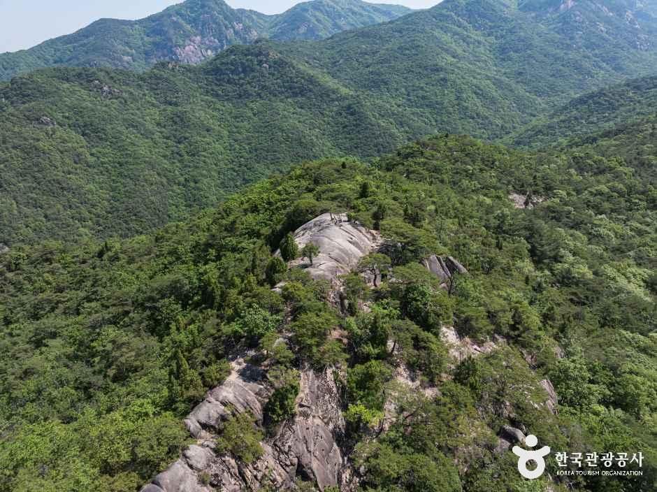 작은동산 여행 추천 - 메고지고 작은동산 여행 추천 - 메고지고