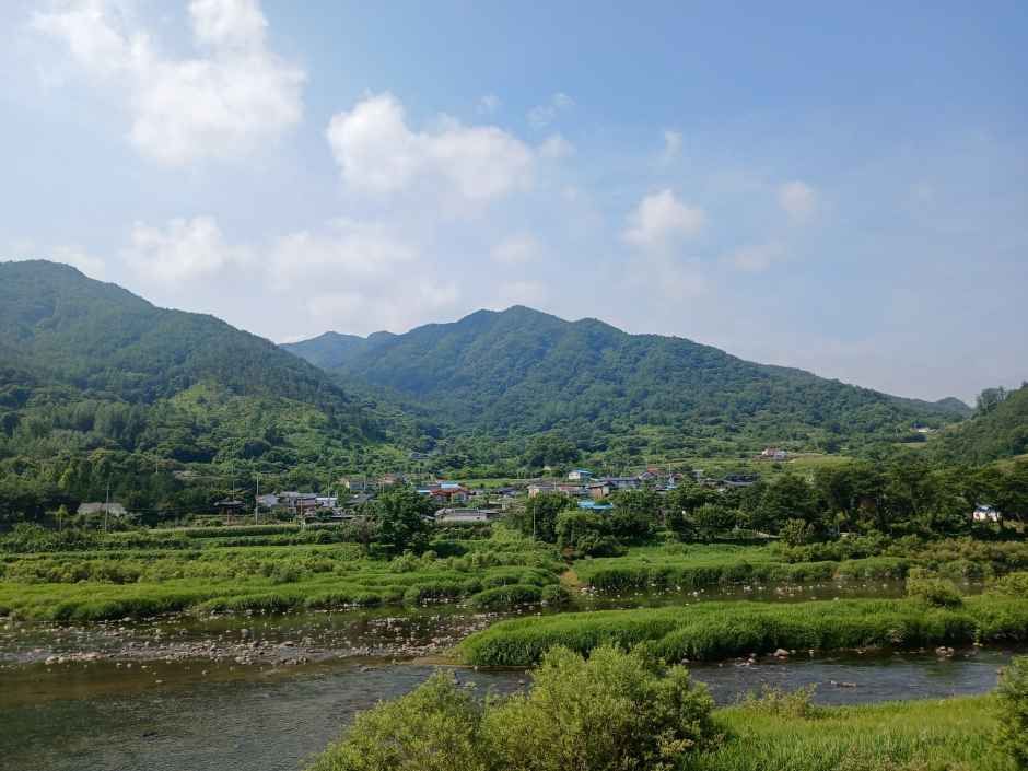 동강마을 여행 추천 - 메고지고 동강마을 여행 추천 - 메고지고