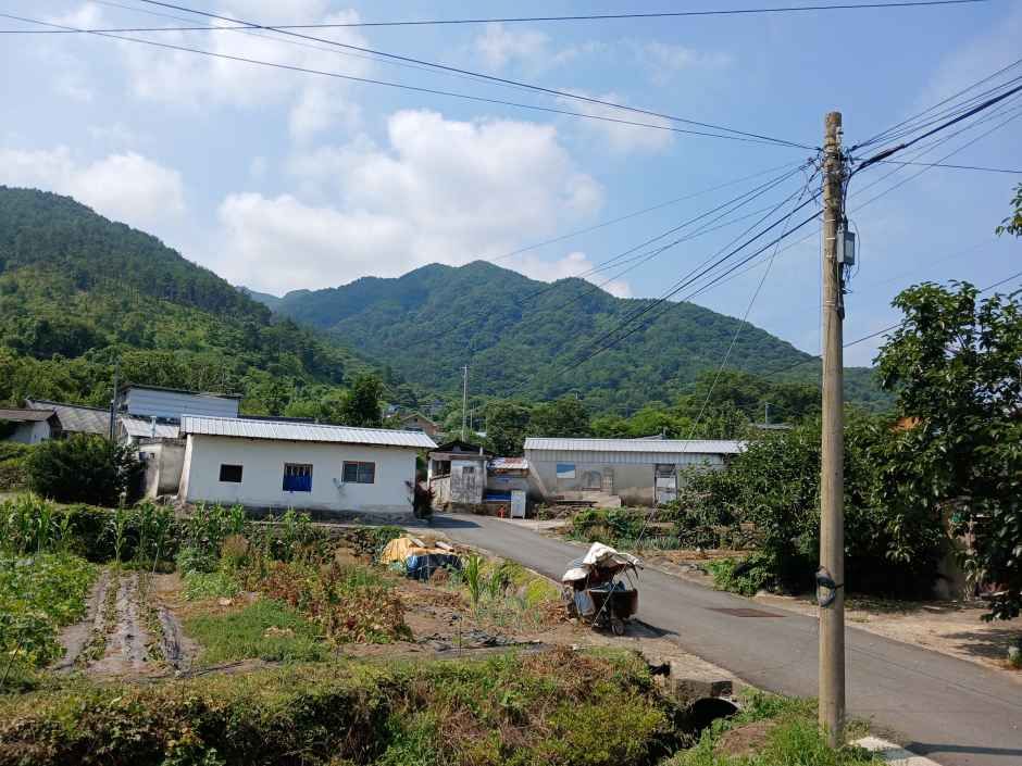 동강마을 여행 추천 - 메고지고 동강마을 여행 추천 - 메고지고