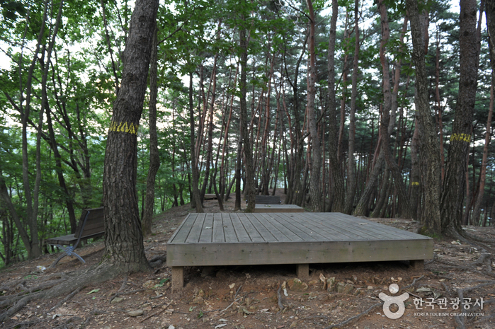 백아산 여행 추천 - 메고지고 백아산 여행 추천 - 메고지고