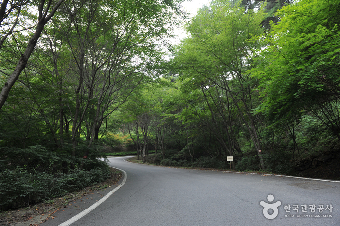 백아산 여행 추천 - 메고지고 백아산 여행 추천 - 메고지고