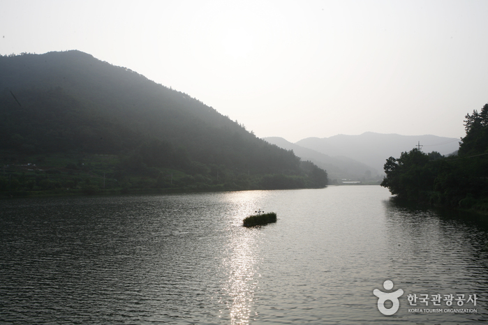 금성산(전남) 여행 추천 - 메고지고 금성산(전남) 여행 추천 - 메고지고