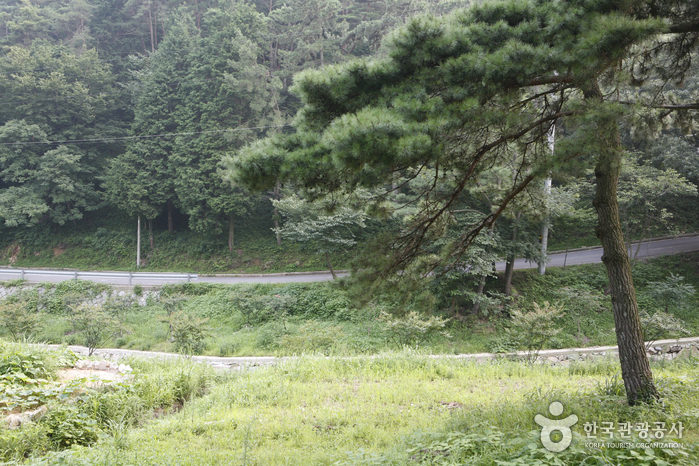 금성산(전남) 여행 추천 - 메고지고 금성산(전남) 여행 추천 - 메고지고