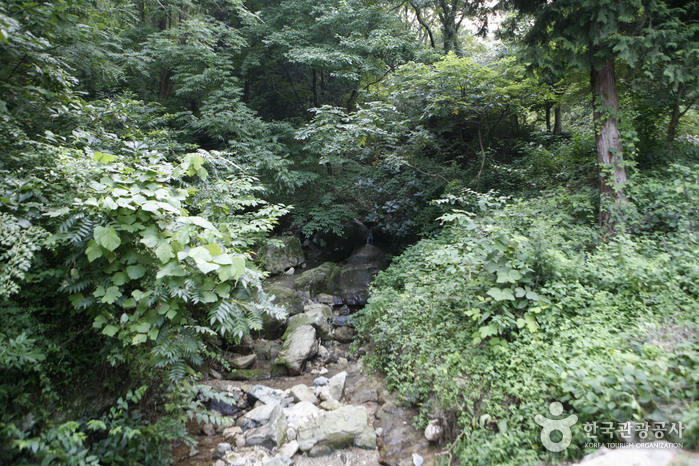 금성산(전남) 여행 추천 - 메고지고 금성산(전남) 여행 추천 - 메고지고