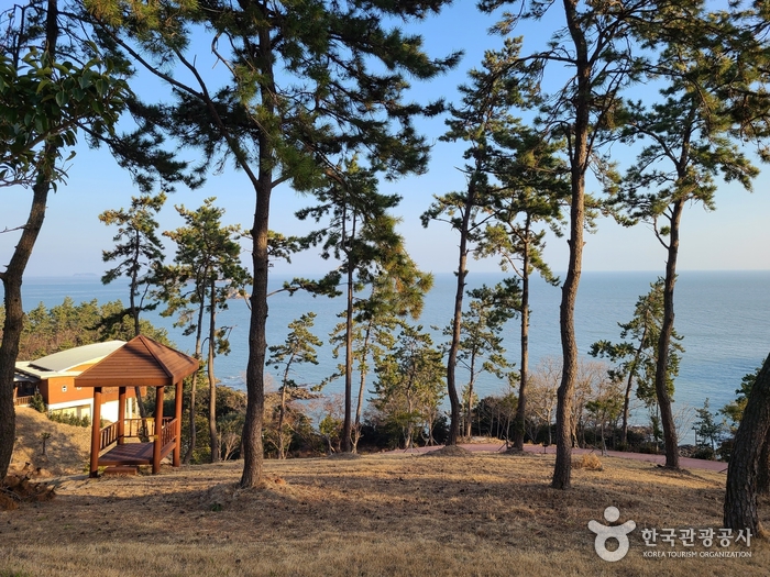 진도 여행 추천 - 메고지고 진도 여행 추천 - 메고지고