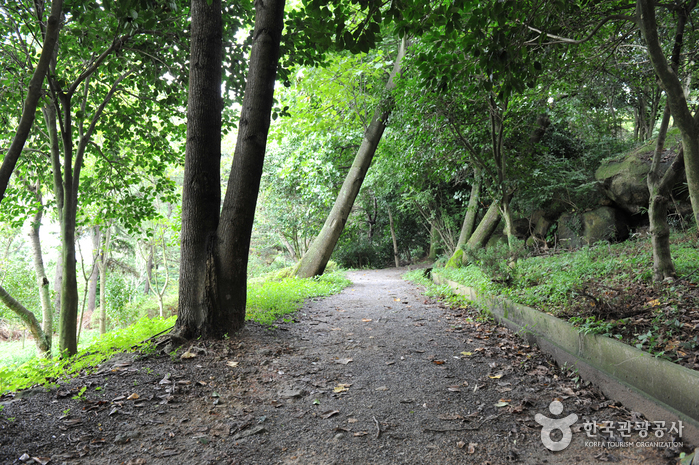 유달산 달성공원 여행 추천 - 메고지고 유달산 달성공원 여행 추천 - 메고지고