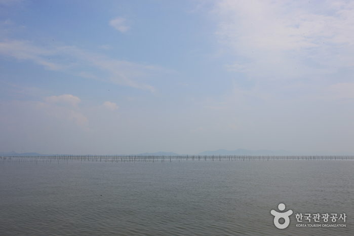 압해도 여행 추천 - 메고지고 압해도 여행 추천 - 메고지고