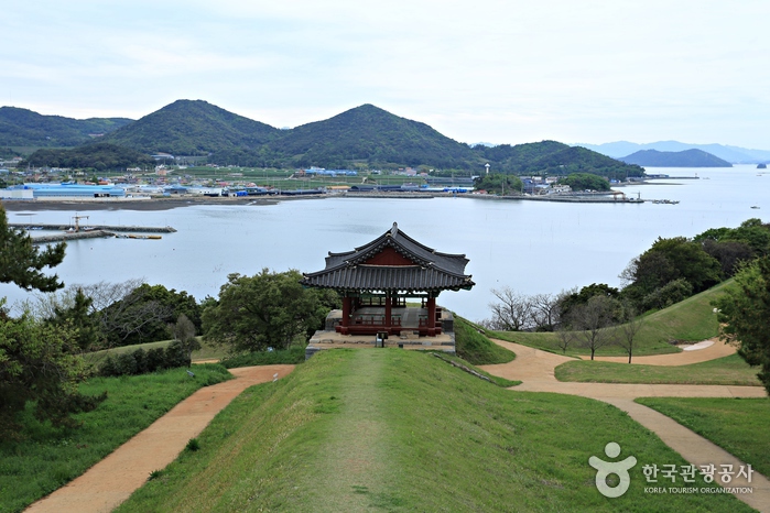 신지도.고금도.약산도(바다낚시) 여행 추천 - 메고지고 신지도.고금도.약산도(바다낚시) 여행 추천 - 메고지고