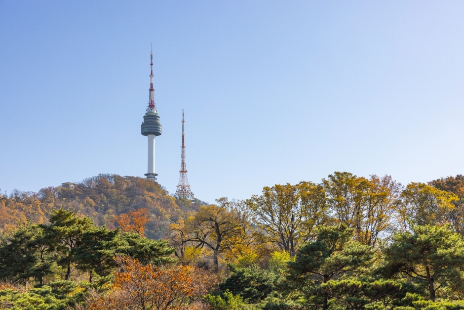남산서울타워 여행 추천 - 메고지고 남산서울타워 여행 추천 - 메고지고