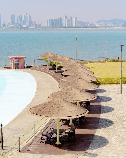 시흥배곧한울공원 여행 추천 - 메고지고 시흥배곧한울공원 여행 추천 - 메고지고