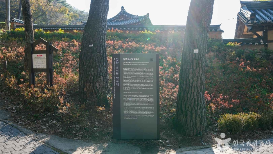 금시당 여행 추천 - 메고지고 금시당 여행 추천 - 메고지고