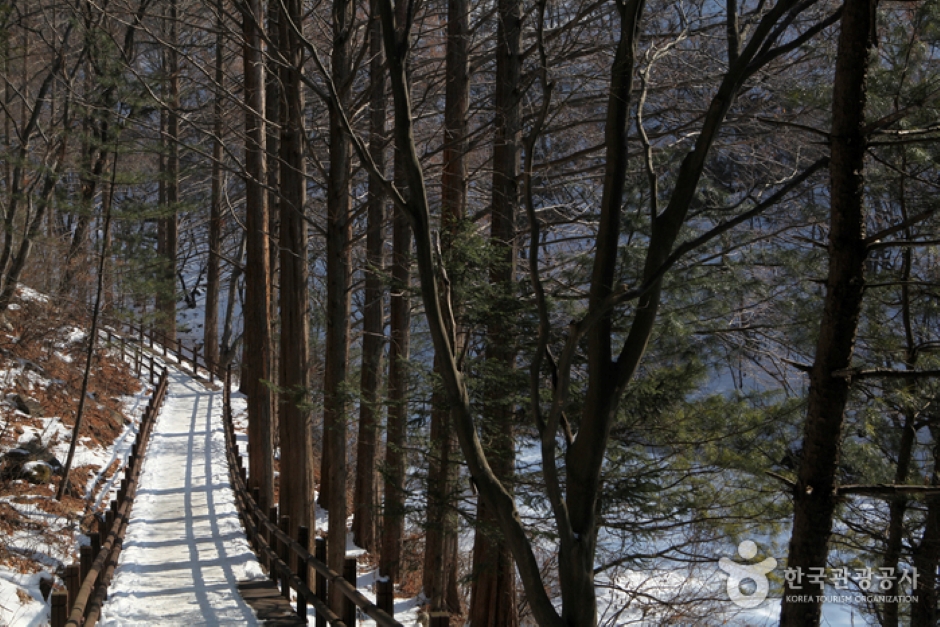 청계산맑은숲공원 여행 추천 - 메고지고 청계산맑은숲공원 여행 추천 - 메고지고