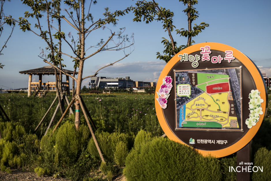 서운체육공원 여행 추천 - 메고지고 서운체육공원 여행 추천 - 메고지고