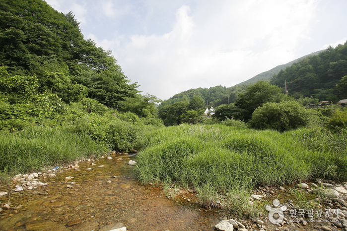 용추자연휴양림 여행 추천 - 메고지고 용추자연휴양림 여행 추천 - 메고지고