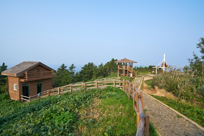 태하마을 여행 추천 - 메고지고 태하마을 여행 추천 - 메고지고