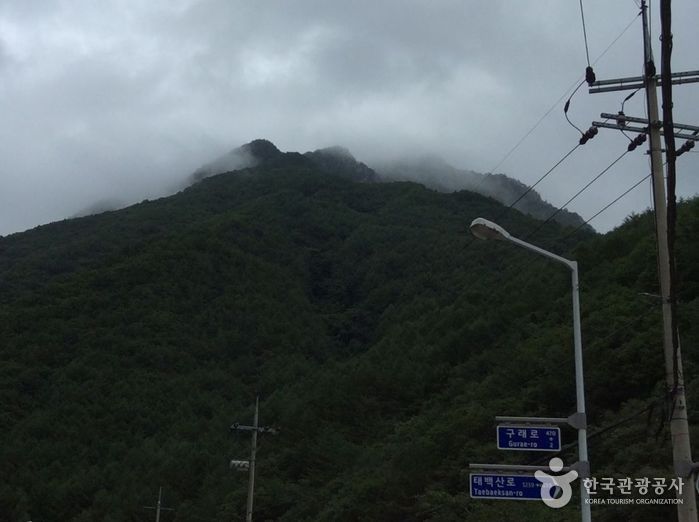 장산(영월) 여행 추천 - 메고지고 장산(영월) 여행 추천 - 메고지고
