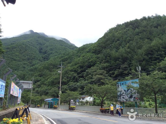장산(영월) 여행 추천 - 메고지고 장산(영월) 여행 추천 - 메고지고