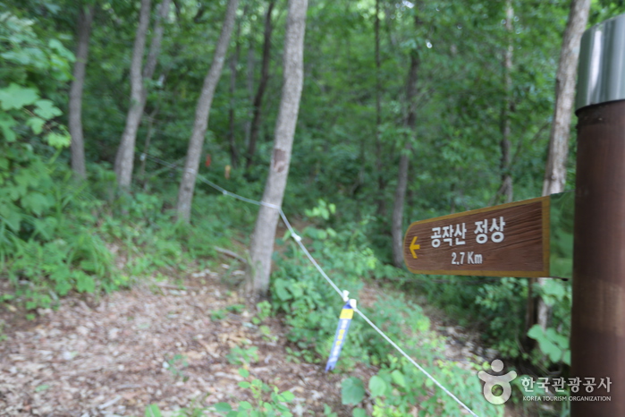 공작산 여행 추천 - 메고지고 공작산 여행 추천 - 메고지고
