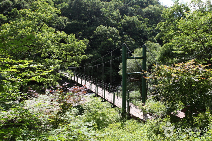 공작산 여행 추천 - 메고지고 공작산 여행 추천 - 메고지고