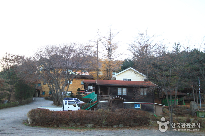 딱따구리청소년수련원 여행 추천 - 메고지고