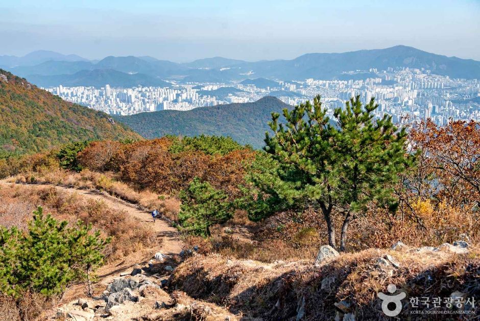 백양산 (부산 국가지질공원) 여행 추천 - 메고지고