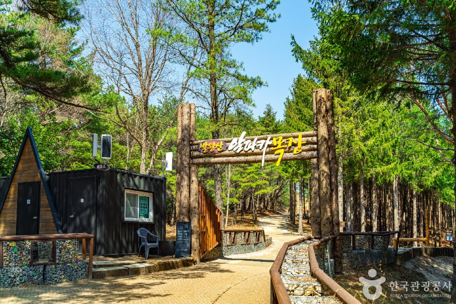 애니포레 여행 추천 - 메고지고