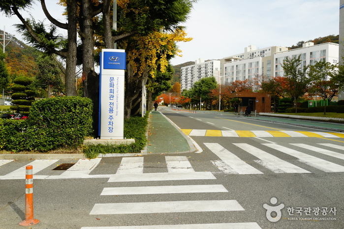현대자동차 문화회관 여행 추천 - 메고지고 현대자동차 문화회관 여행 추천 - 메고지고