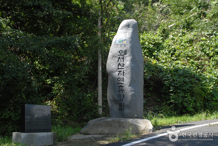 국립 오서산자연휴양림 여행 추천 - 메고지고 국립 오서산자연휴양림 여행 추천 - 메고지고