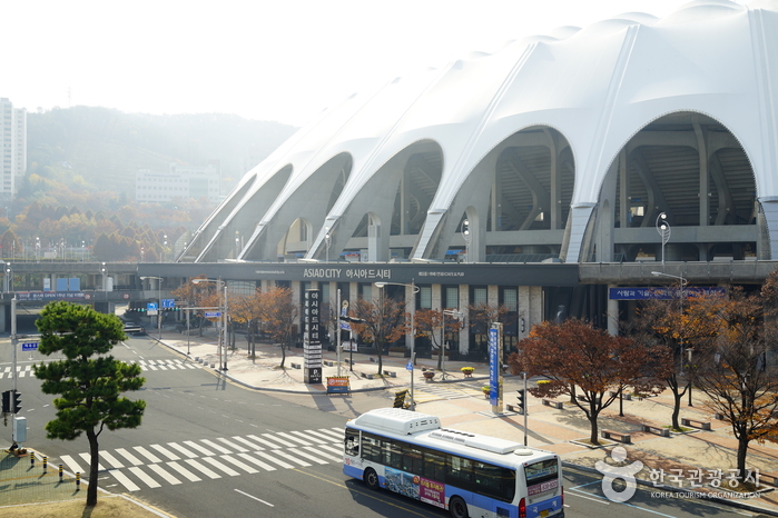 부산 아시아드주경기장 여행 추천 - 메고지고 부산 아시아드주경기장 여행 추천 - 메고지고