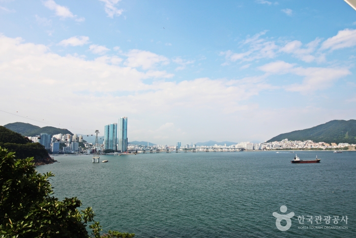 송도용궁구름다리 여행 추천 - 메고지고 송도용궁구름다리 여행 추천 - 메고지고