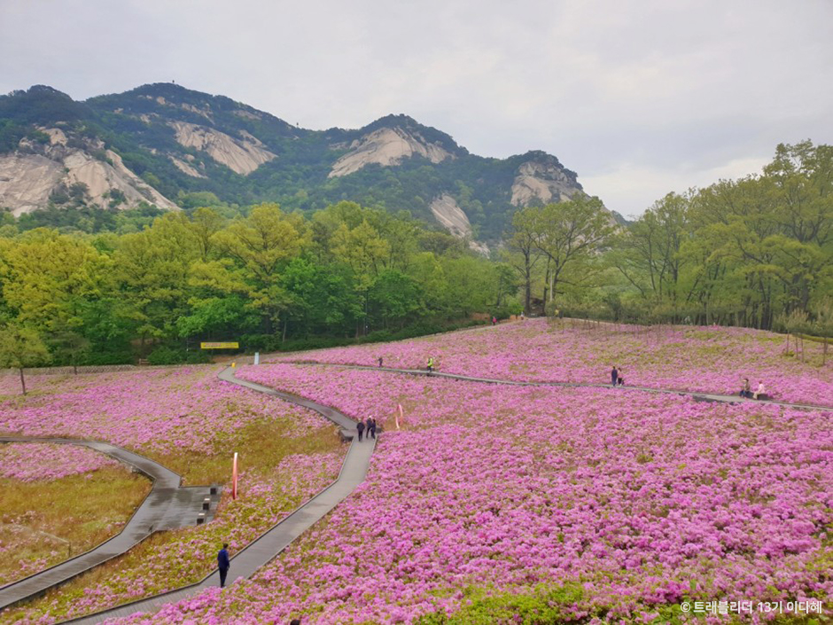 불암산나비정원 여행 추천 - 메고지고 불암산나비정원 여행 추천 - 메고지고