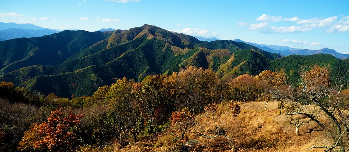 진바산 여행 추천 - 메고지고 진바산 여행 추천 - 메고지고