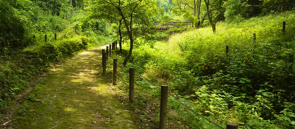 나가누마 공원 여행 추천 - 메고지고 나가누마 공원 여행 추천 - 메고지고