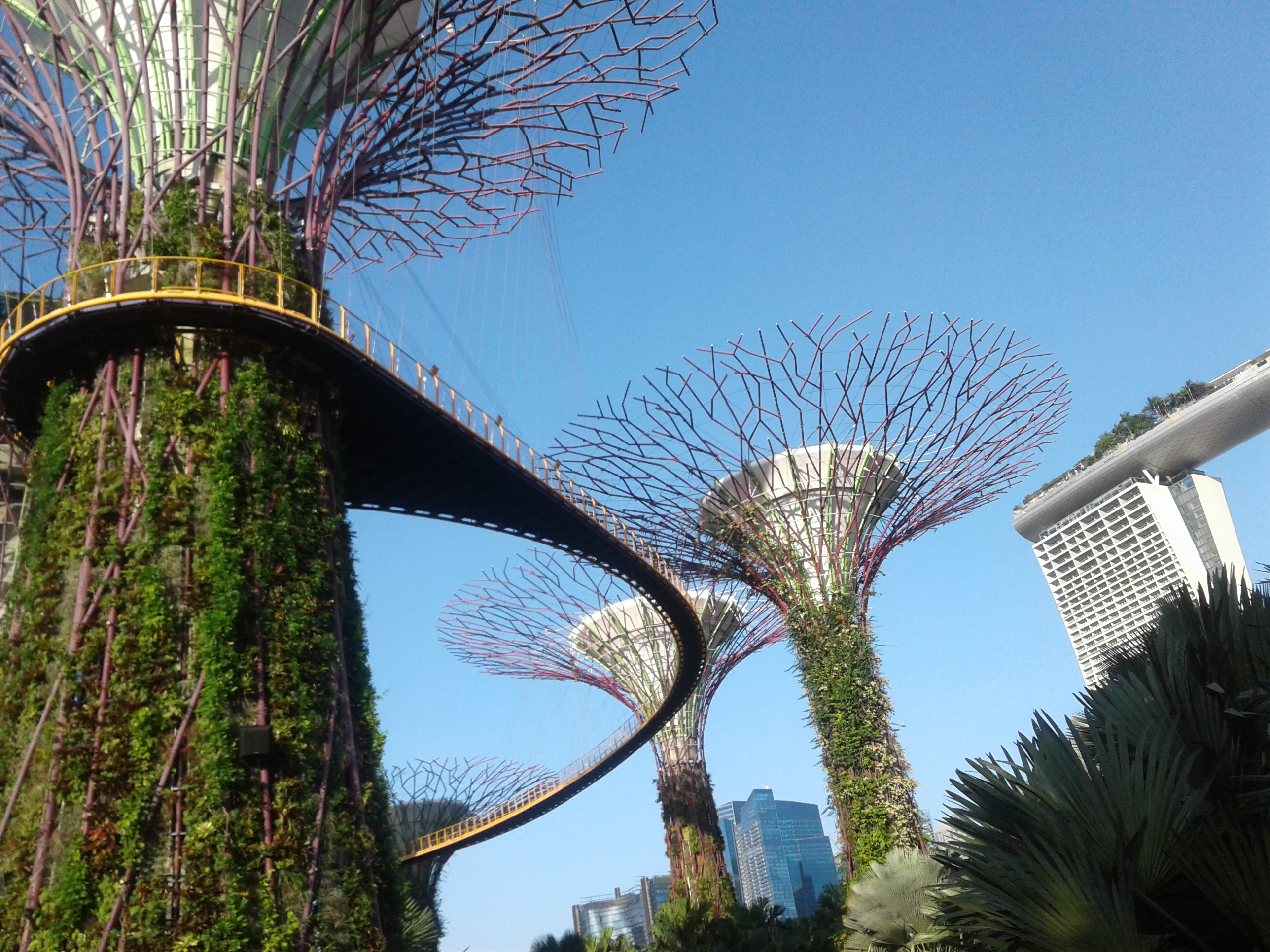 가든스 바이 더 베이 (Gardens by the Bay) 여행 추천 - 로드트립