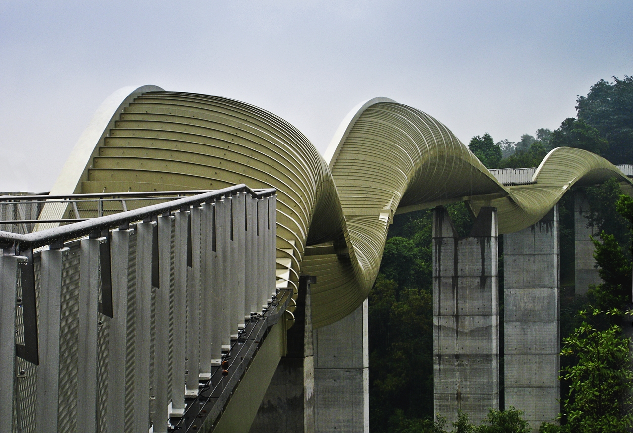 헨더슨 웨이브 브리지 (Henderson Waves Bridge) 여행 추천 - 로드트립
