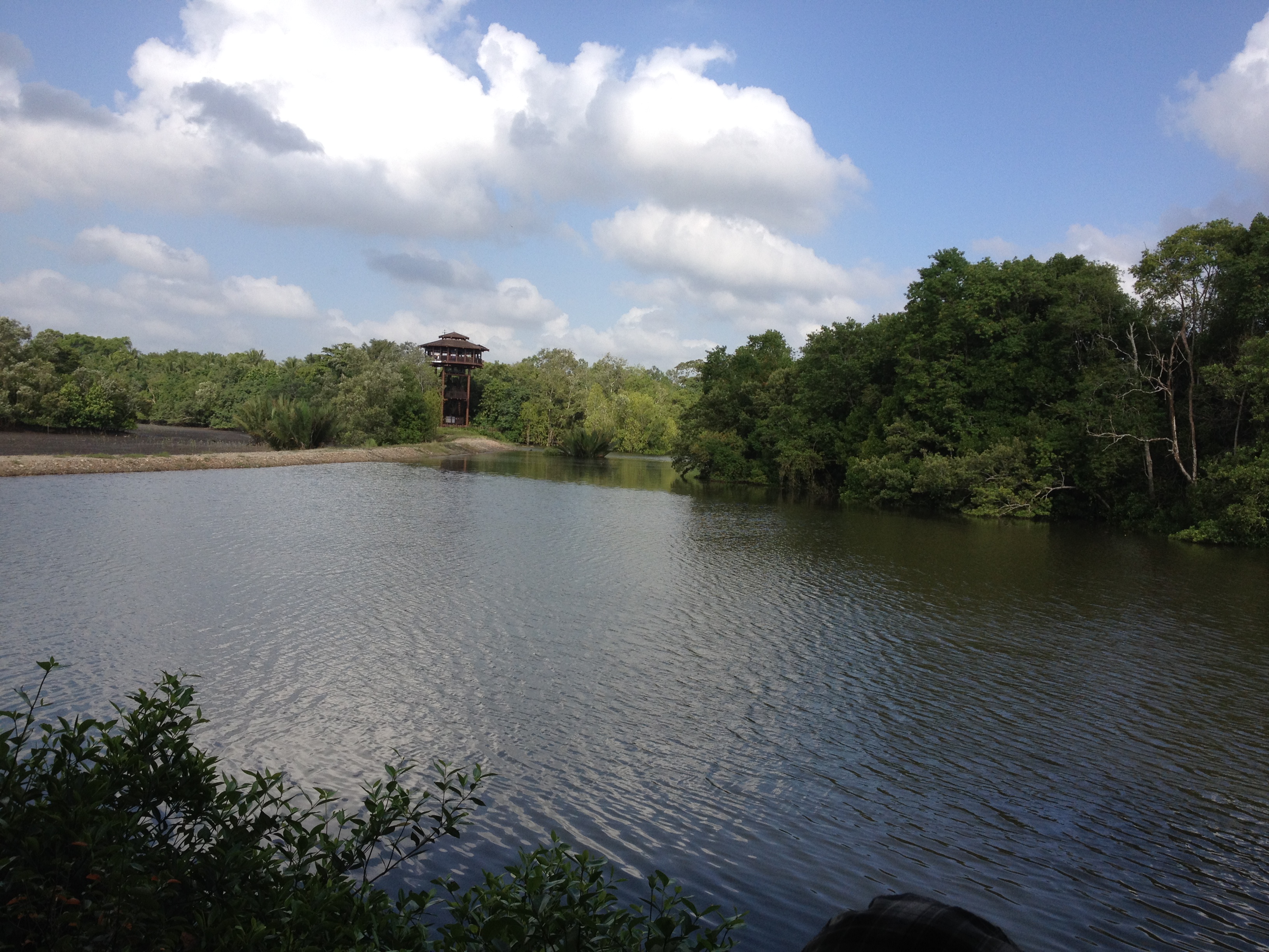 순게이 불로 습지보호구역 (Sungei Buloh Wetland Reserve) 여행 추천 - 로드트립