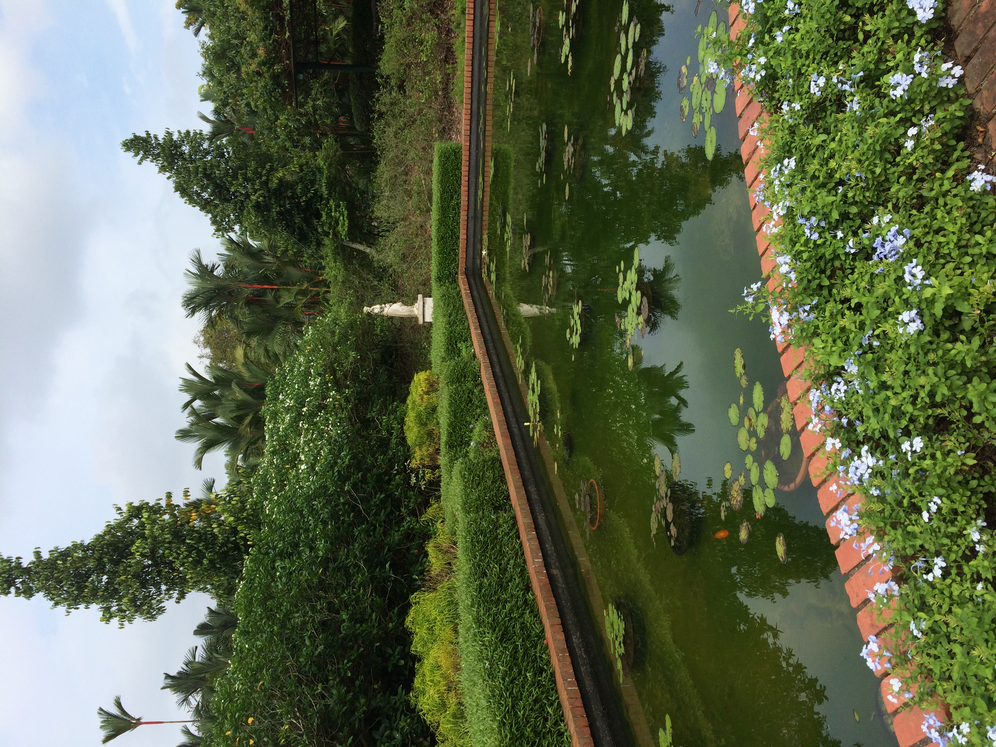 싱가포르 보타닉 가든 (Singapore Botanic Gardens) 여행 추천 - 로드트립