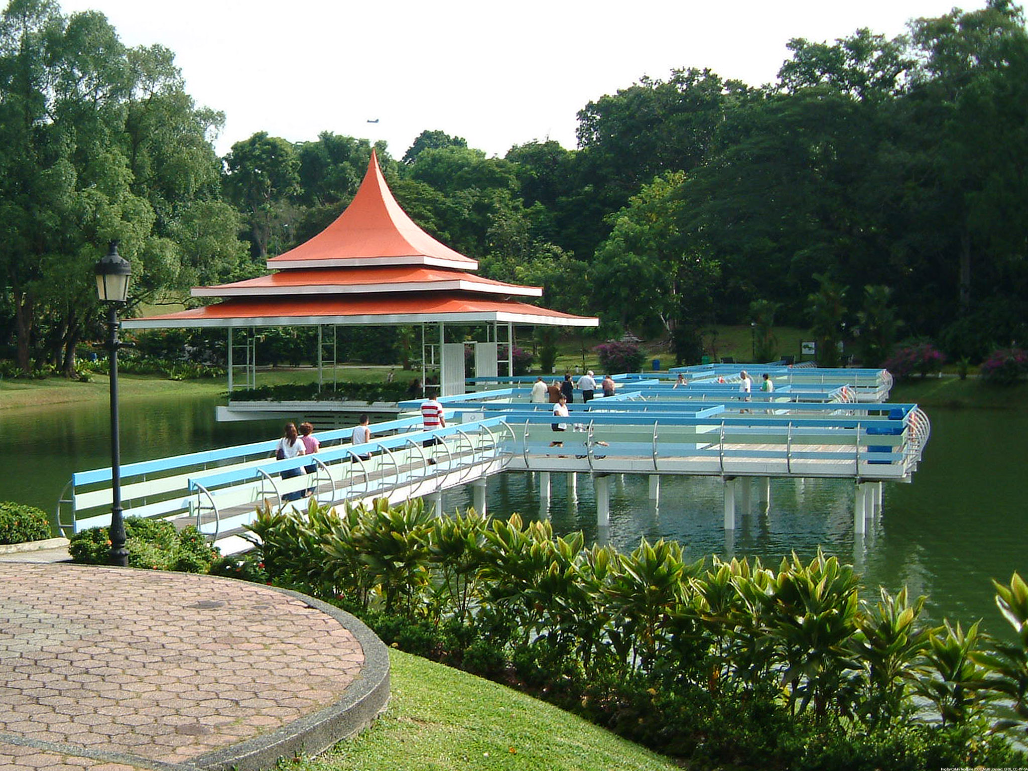 맥리치 저수지 공원 (MacRitchie Reservoir Park)