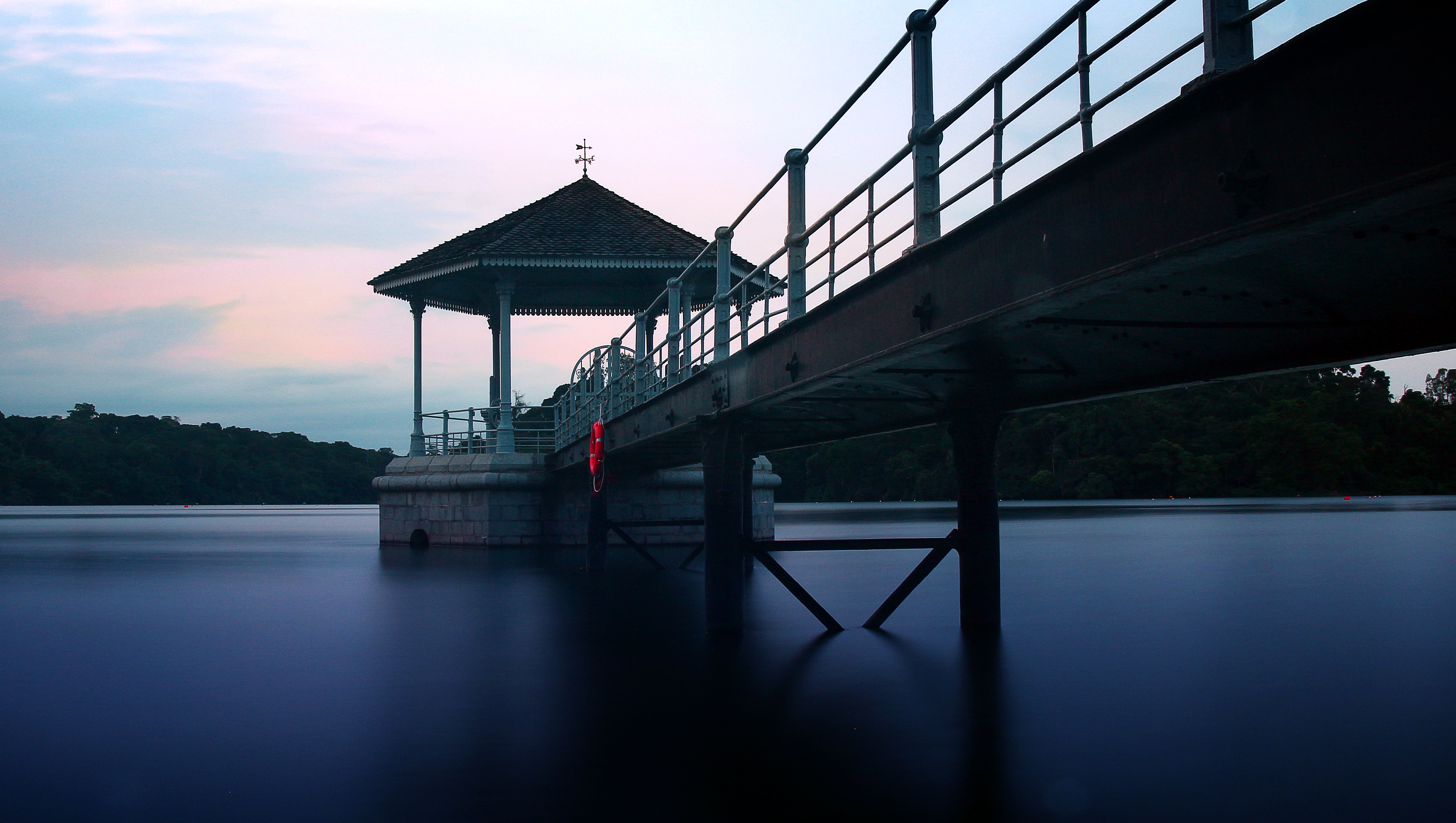 맥리치 저수지 공원 (MacRitchie Reservoir Park) 여행 추천 - 로드트립