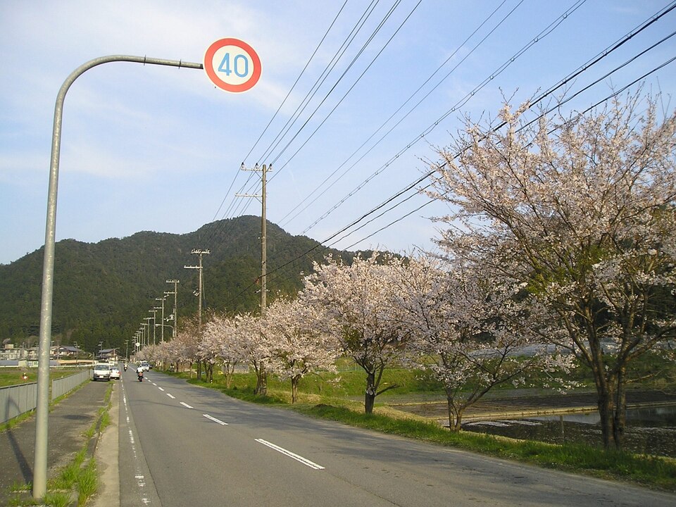 교토 일주 트레일 — 기타야마 동부 코스 (京都一周トレイル 北山東部コース) 여행 추천 - 로드트립