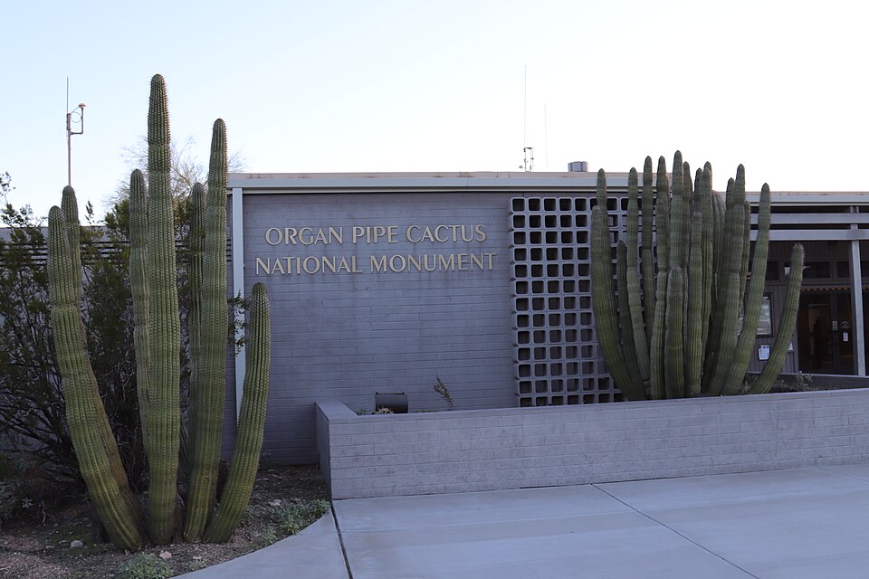 오르간 파이프 선인장 국립기념물 (Organ Pipe Cactus National Monument)