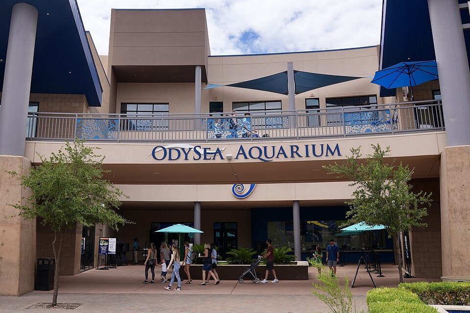 오디시 수족관 (OdySea Aquarium) 여행 추천 - 로드트립