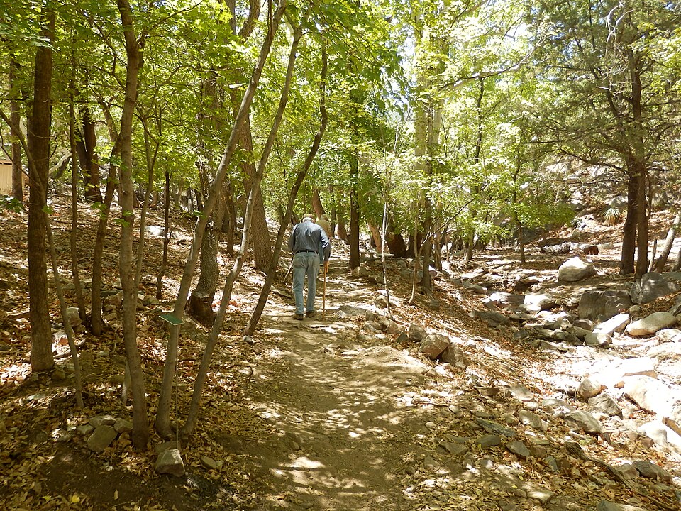 램지 캐니언 보호구역 (Ramsey Canyon Preserve) 여행 추천 - 로드트립